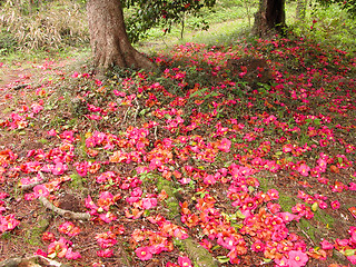 Image showing End of the spring