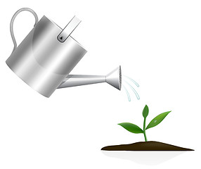 Image showing Young plant with watering can