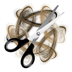 Image showing Scissor and  hair 