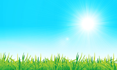 Image showing vector green grass and blue sky