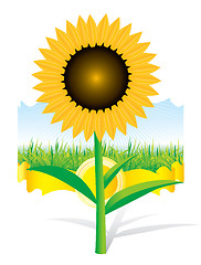 Image showing Beautiful vector sunflower background