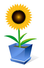 Image showing Sunflower spot concept