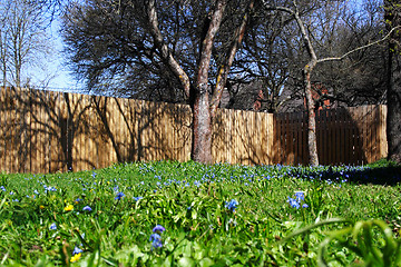 Image showing sunny yard in the spring with fense