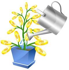 Image showing Money tree with watreing can