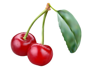 Image showing Two vector cherries illustration