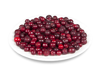 Image showing Saucer with berries cranberries