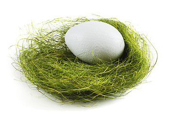 Image showing egg in a nest over white