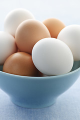 Image showing Eggs in bowl