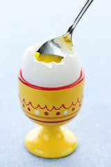 Image showing Soft boiled egg in cup