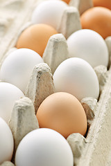 Image showing Eggs