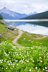 Image showing Mountain lake in Jasper National Park, Canada