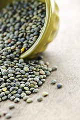 Image showing Bowl of uncooked French lentils