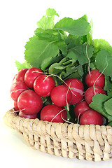 Image showing Radish