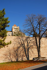 Image showing Belgrade fortress