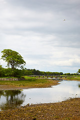 Image showing Wick River