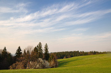 Image showing Spring field in mountain