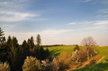 Image showing Spring in mountain