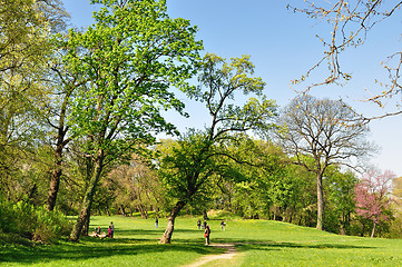 Image showing Spring morning