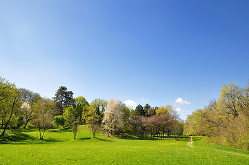 Image showing Spring morning