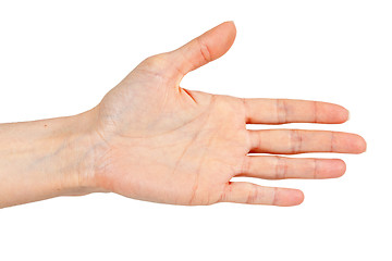 Image showing woman's hand