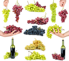 Image showing Set of different grapes