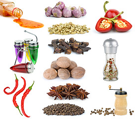 Image showing Set of different spices and condiments