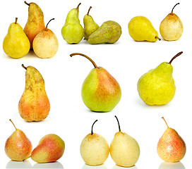 Image showing Set of different pears