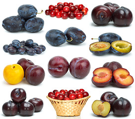 Image showing Set of different plums