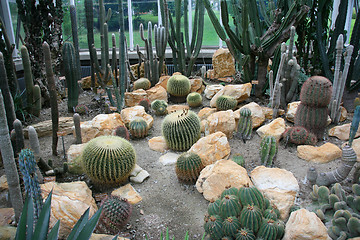 Image showing Botanical garden