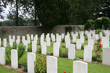 Image showing Military cemetery