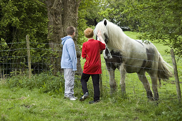 Image showing Seeing the Horse