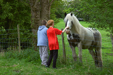 Image showing Seeing the Horse