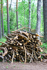 Image showing Firewood