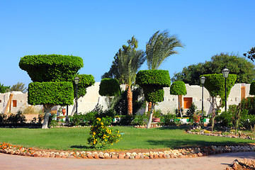 Image showing trimmed trees and flowers