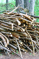 Image showing Firewood