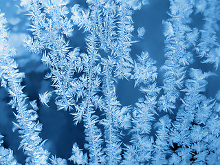 Image showing blue frosty natural pattern