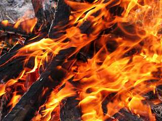 Image showing fire texture