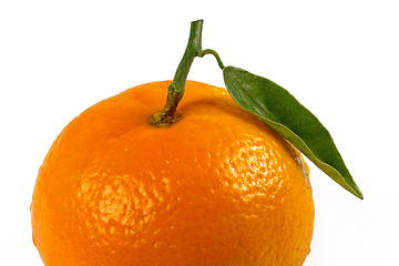 Image showing mandarin isolated on white
