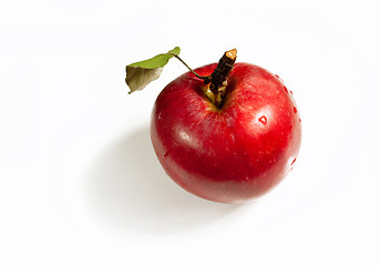 Image showing Red apple