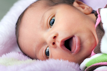 Image showing Newborn Baby Girl
