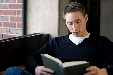 Image showing Student Reading at the Library