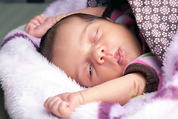 Image showing Newborn Baby Waking Up