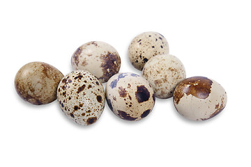 Image showing quail eggs