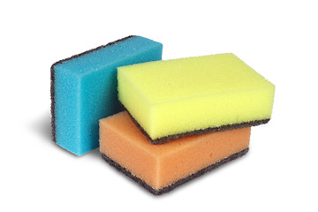 Image showing Sponge