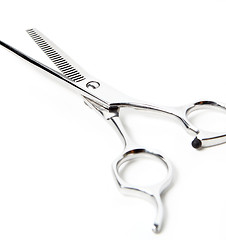 Image showing Professional Haircutting Scissors. Studio isolation on white. 