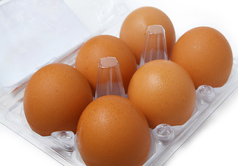 Image showing Box of eggs