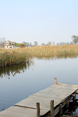 Image showing Jetty on a lake 