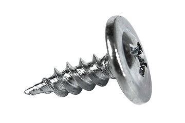 Image showing Screw