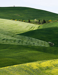 Image showing Tuscany