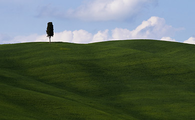 Image showing Tuscany